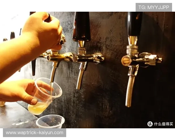 从麦芽香气到酒花风味零基础快速掌握精酿啤酒品鉴核心技巧 从麦芽香气到酒花风味零基础快速掌握精酿啤酒品鉴核心技巧